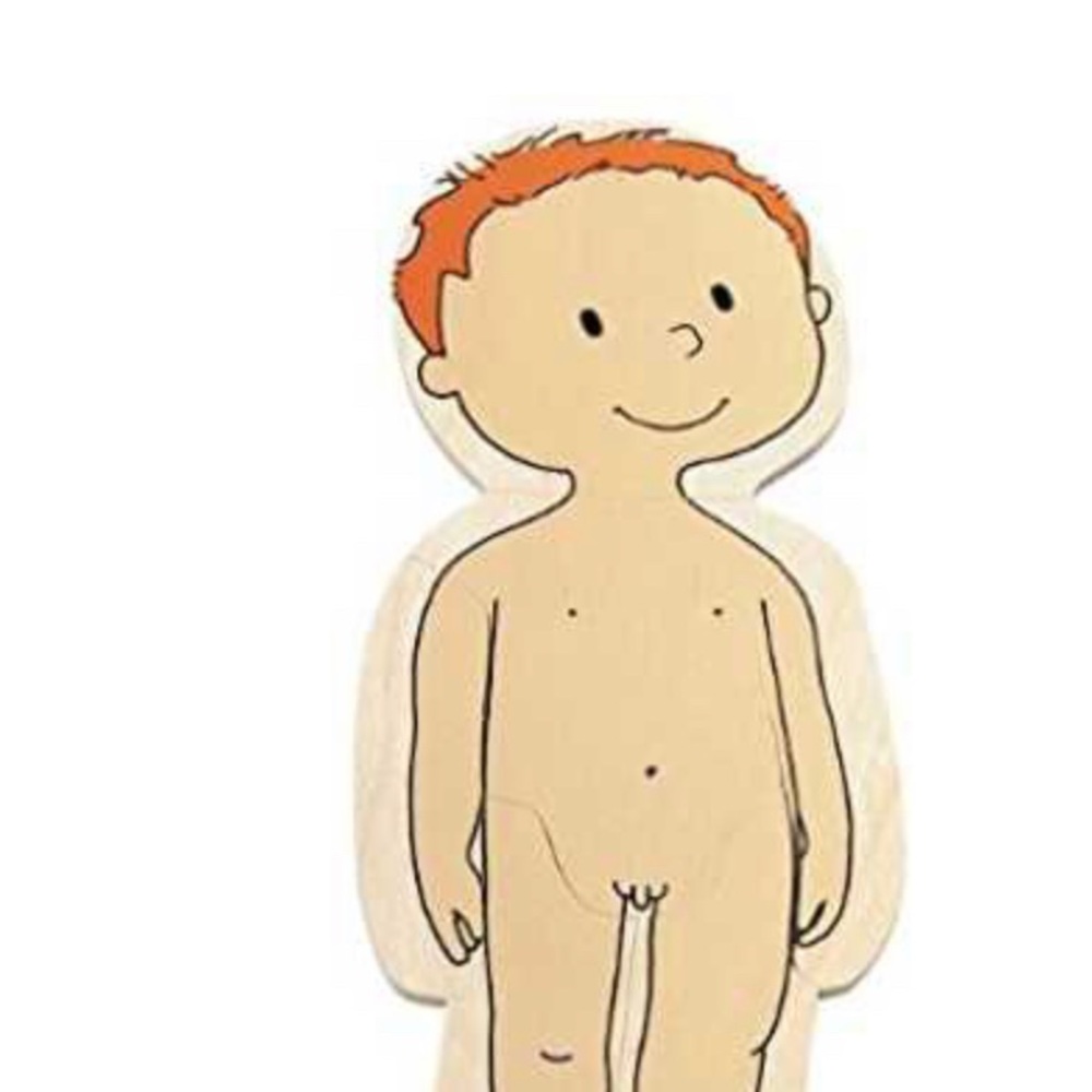 New Hape by Beleduc 5-Layer wooden Body Puzzle - Picture 3 of 11